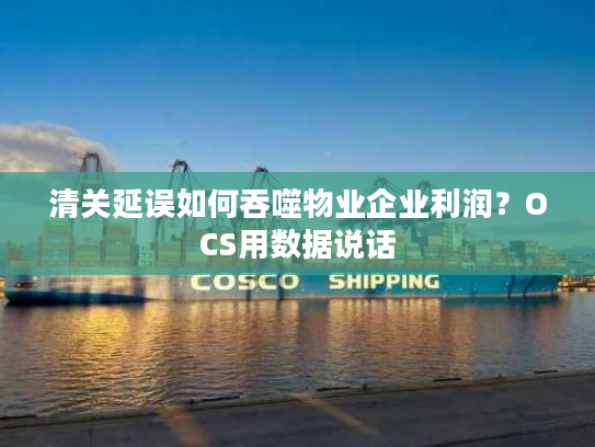 清关延误如何吞噬物业企业利润？OCS用数据说话