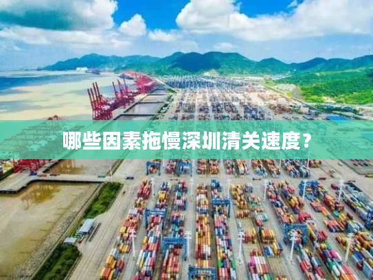哪些因素拖慢深圳清关速度？