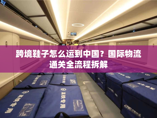 跨境鞋子怎么运到中国？国际物流通关全流程拆解