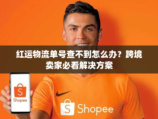 红运物流单号查不到怎么办？跨境卖家必看解决方案