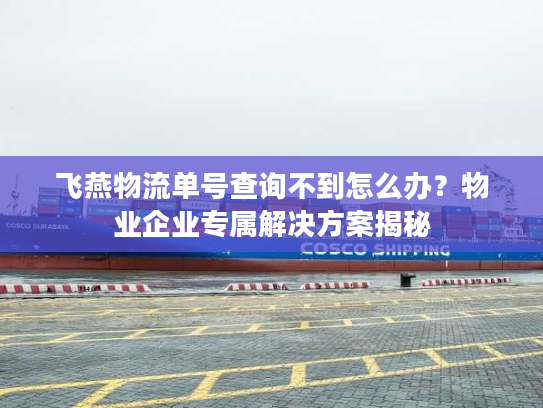 飞燕物流单号查询不到怎么办？物业企业专属解决方案揭秘