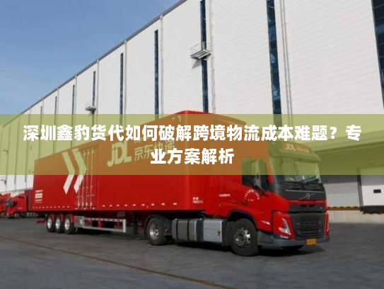 深圳鑫豹货代如何破解跨境物流成本难题？专业方案解析