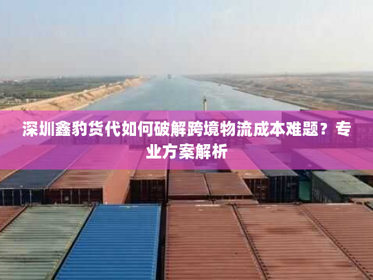 深圳鑫豹货代如何破解跨境物流成本难题？专业方案解析