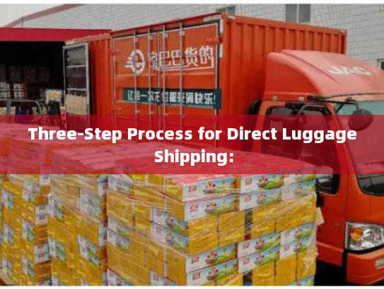 Three-Step Process for Direct Luggage Shipping: