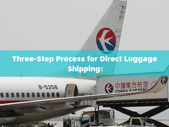 Three-Step Process for Direct Luggage Shipping: