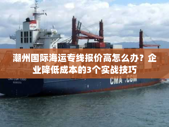 潮州国际海运专线报价高怎么办？企业降低成本的3个实战技巧