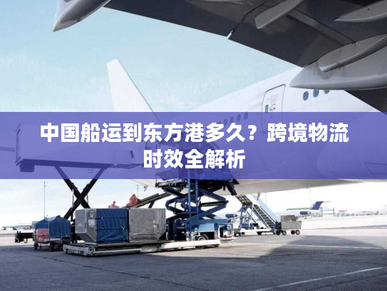 中国船运到东方港多久？跨境物流时效全解析