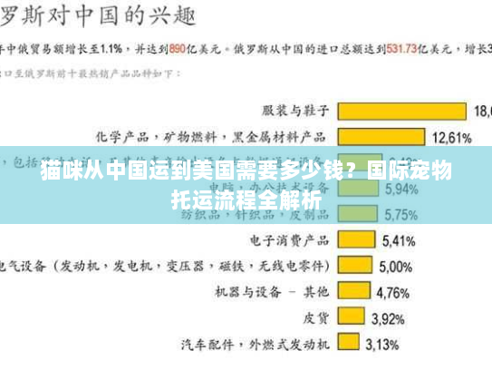 猫咪从中国运到美国需要多少钱？国际宠物托运流程全解析