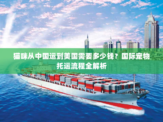 猫咪从中国运到美国需要多少钱？国际宠物托运流程全解析