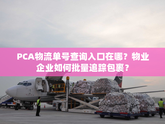 PCA物流单号查询入口在哪？物业企业如何批量追踪包裹？