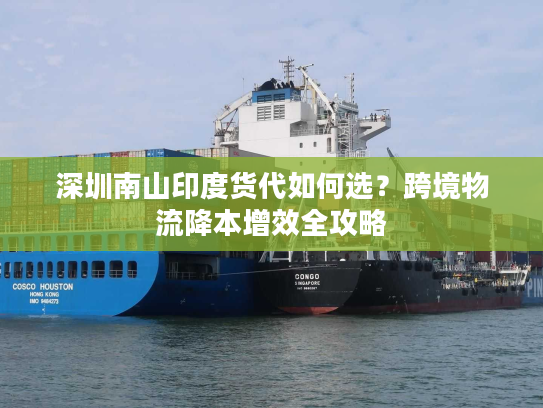 深圳南山印度货代如何选？跨境物流降本增效全攻略