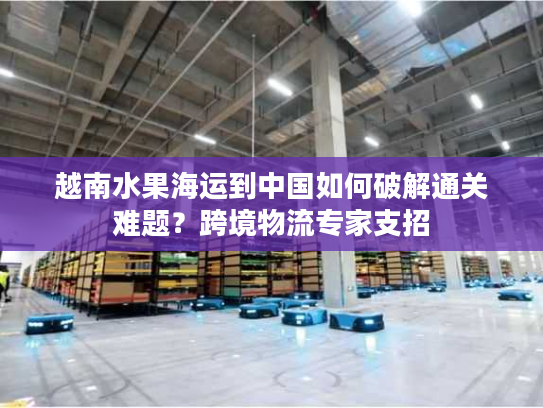 越南水果海运到中国如何破解通关难题？跨境物流专家支招