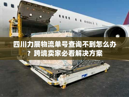 四川力展物流单号查询不到怎么办？跨境卖家必看解决方案