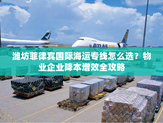 潍坊菲律宾国际海运专线怎么选？物业企业降本增效全攻略