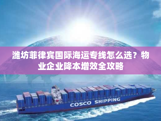 潍坊菲律宾国际海运专线怎么选？物业企业降本增效全攻略