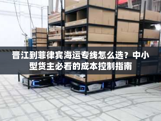 晋江到菲律宾海运专线怎么选？中小型货主必看的成本控制指南