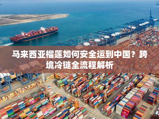 马来西亚榴莲如何安全运到中国？跨境冷链全流程解析