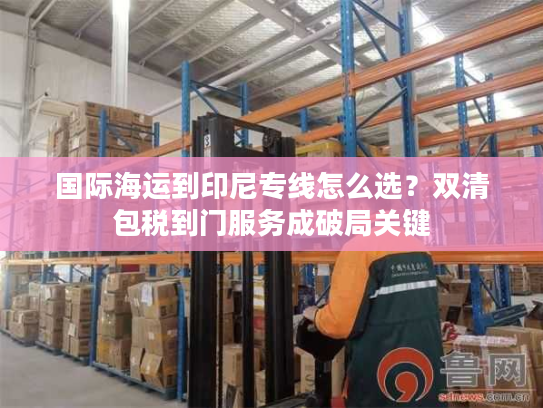 国际海运到印尼专线怎么选？双清包税到门服务成破局关键