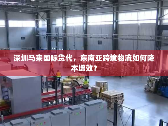 深圳马来国际货代，东南亚跨境物流如何降本增效？