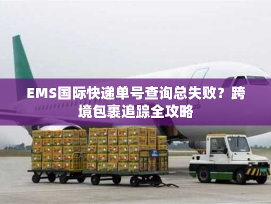 EMS国际快递单号查询总失败?跨境包裹追踪全攻略 EMS国际快递单号查询总失败?跨境包裹追踪全攻略