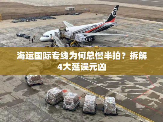 海运国际专线为何总慢半拍？拆解4大延误元凶