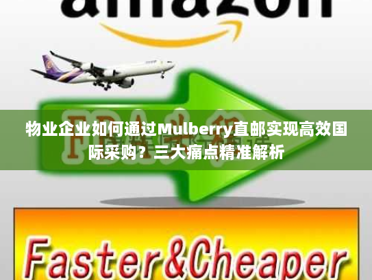 物业企业如何通过Mulberry直邮实现高效国际采购？三大痛点精准解析
