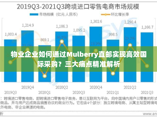 物业企业如何通过Mulberry直邮实现高效国际采购？三大痛点精准解析