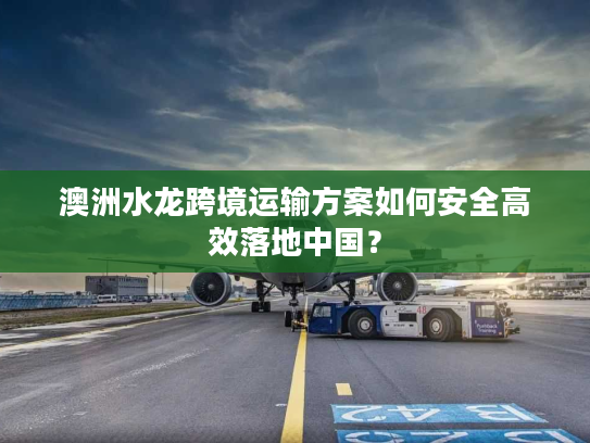 澳洲水龙跨境运输方案如何安全高效落地中国? 澳洲水龙跨境运输方案如何安全高效落地中国?