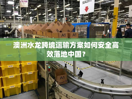 澳洲水龙跨境运输方案如何安全高效落地中国? 澳洲水龙跨境运输方案如何安全高效落地中国?