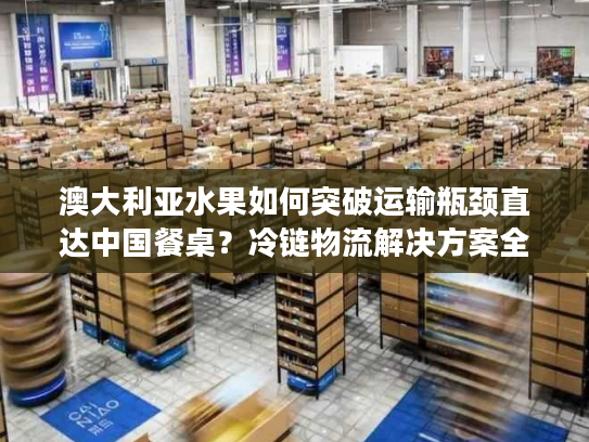 澳大利亚水果如何突破运输瓶颈直达中国餐桌？冷链物流解决方案全解析