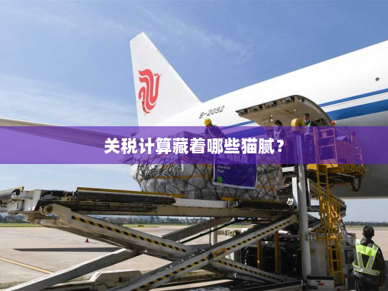 关税计算藏着哪些猫腻? 关税计算藏着哪些猫腻?