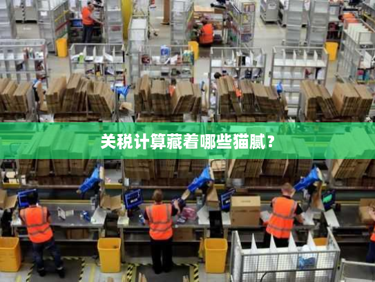 关税计算藏着哪些猫腻? 关税计算藏着哪些猫腻?