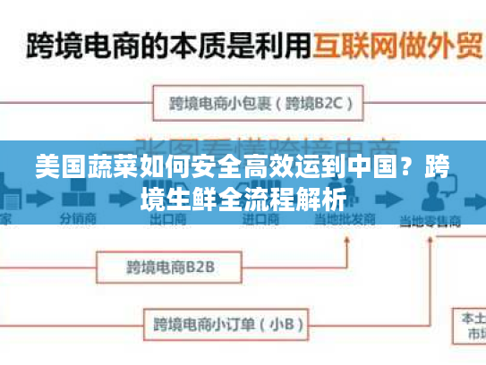 美国蔬菜如何安全高效运到中国？跨境生鲜全流程解析