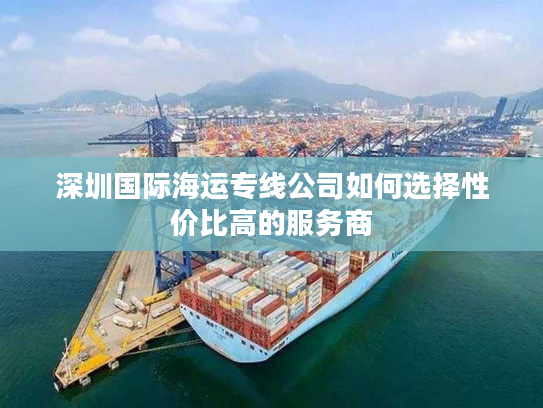 深圳国际海运专线公司如何选择性价比高的服务商