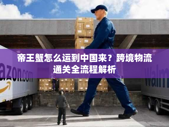 帝王蟹怎么运到中国来？跨境物流通关全流程解析