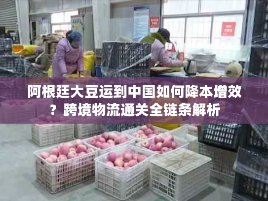 阿根廷大豆运到中国如何降本增效？跨境物流通关全链条解析