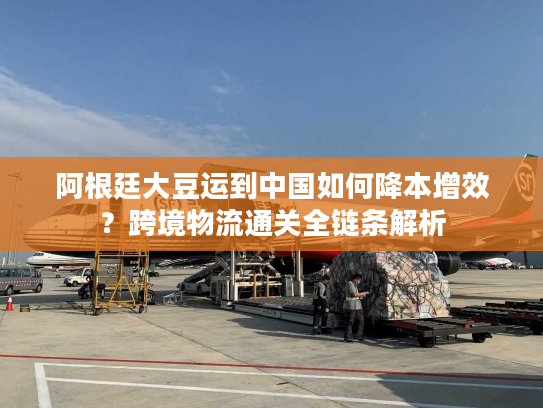 阿根廷大豆运到中国如何降本增效？跨境物流通关全链条解析