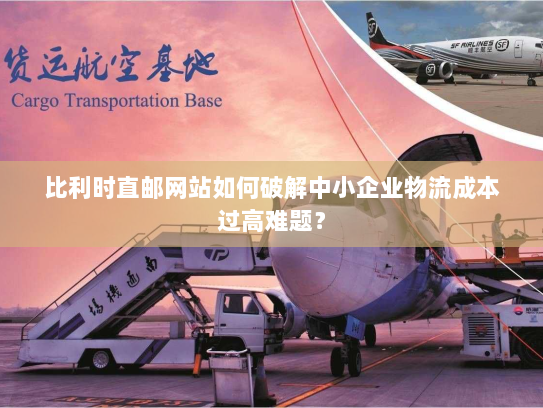 比利时直邮网站如何破解中小企业物流成本过高难题？
