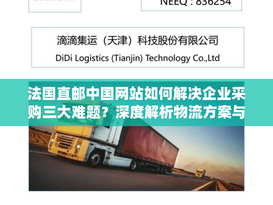 法国直邮中国网站如何解决企业采购三大难题？深度解析物流方案与选站攻略