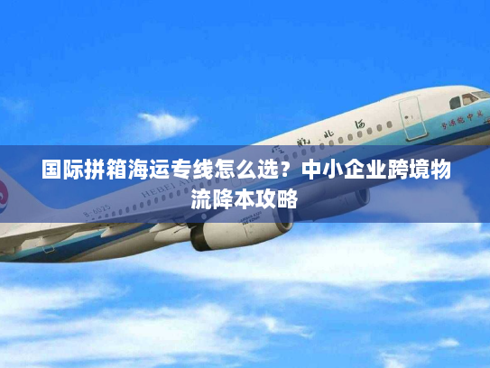 国际拼箱海运专线怎么选？中小企业跨境物流降本攻略