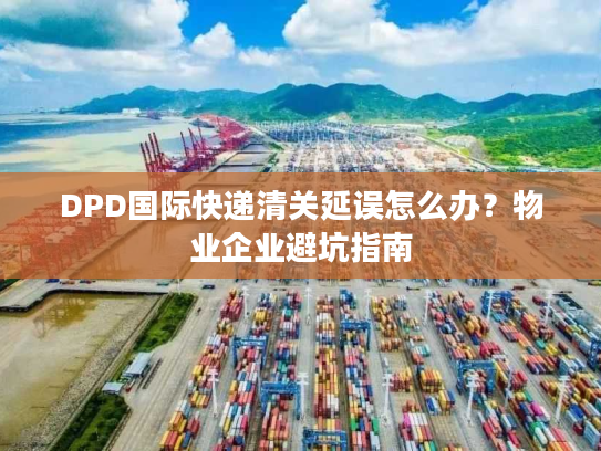 DPD国际快递清关延误怎么办？物业企业避坑指南