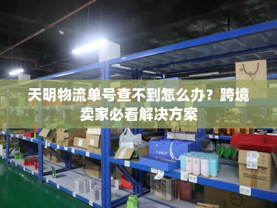 天明物流单号查不到怎么办？跨境卖家必看解决方案