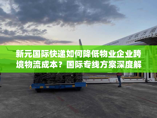 新元国际快递如何降低物业企业跨境物流成本？国际专线方案深度解析