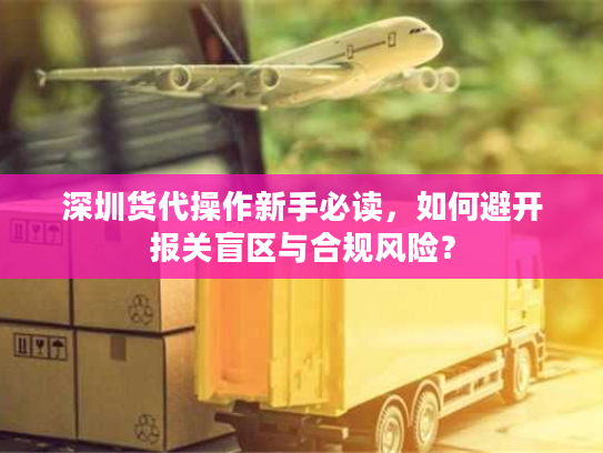 深圳货代操作新手必读，如何避开报关盲区与合规风险？
