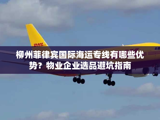 柳州菲律宾国际海运专线有哪些优势?物业企业选品避坑指南 柳州菲律宾国际海运专线有哪些优势?物业企业选品避坑指南