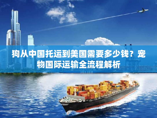 狗从中国托运到美国需要多少钱？宠物国际运输全流程解析