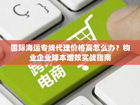 国际海运专线代理价格高怎么办？物业企业降本增效实战指南