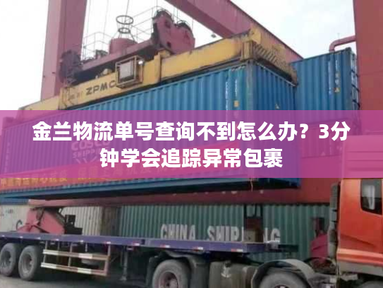 金兰物流单号查询不到怎么办？3分钟学会追踪异常包裹