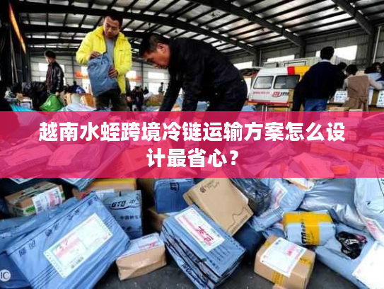 越南水蛭跨境冷链运输方案怎么设计最省心？