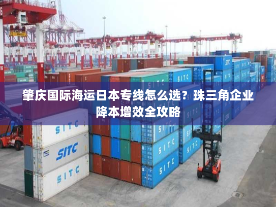 肇庆国际海运日本专线怎么选?珠三角企业降本增效全攻略 肇庆国际海运日本专线怎么选?珠三角企业降本增效全攻略